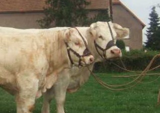 Fondateur et Apotheose